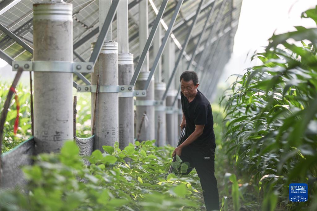 巴黎人提现失败